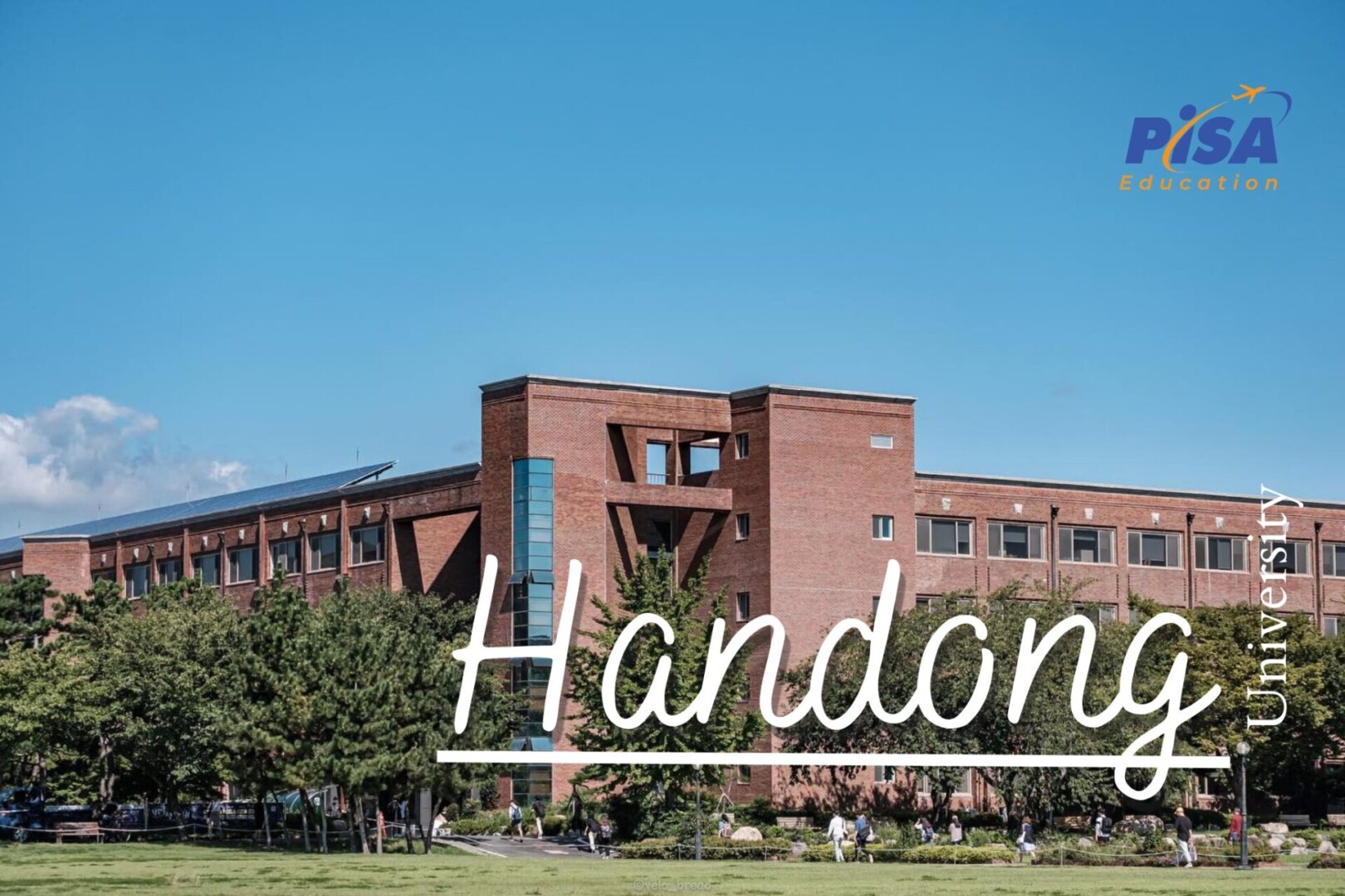 Handong 11