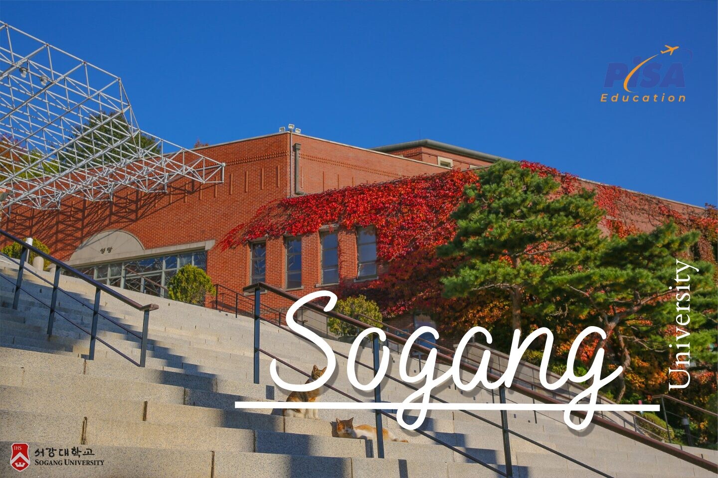 Sogang 15